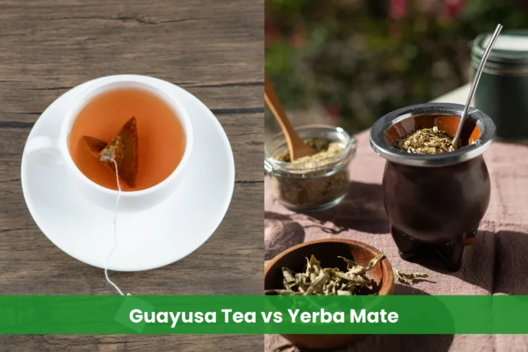 Guayusa Tea vs Yerba Mate